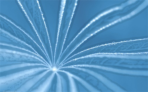 电表校准的方法,手动校准电能表可改变校准点以达标
